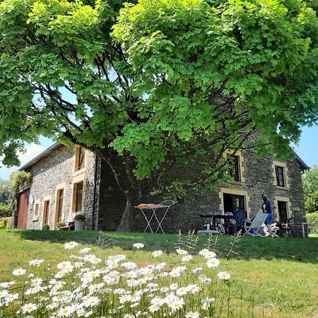 La Maison Des Marguerites Vresse-sur-Semois Exterior foto