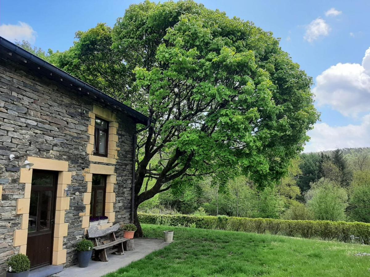 La Maison Des Marguerites Vresse-sur-Semois Exterior foto